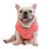 (L, pink) Soft Windproof Small Dog Coat 2