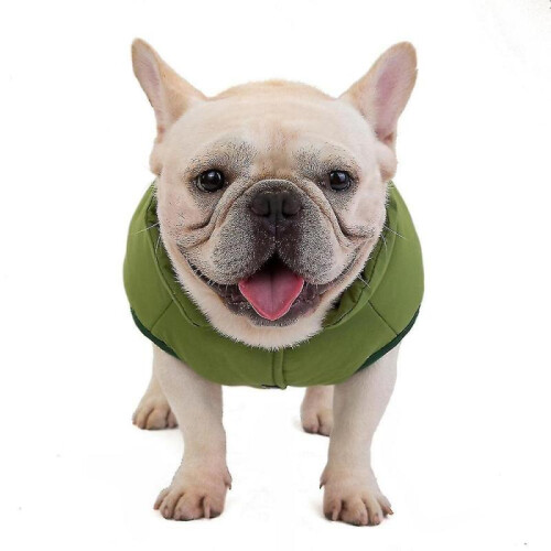 (M, green) Soft Windproof Small Dog Coat 1