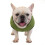 (XL, green) Soft Windproof Small Dog Coat 2