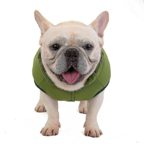 (L, green) Soft Windproof Small Dog Coat 1