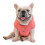 (XL, pink) Soft Windproof Small Dog Coat 2