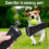 (Without batteries, OPP packaging) Anti Bark Device Ultrasonic Dog Barking Control Stop Repeller Trainer Train Tool 2