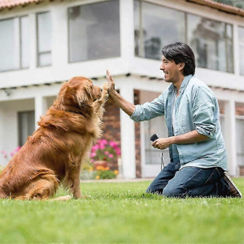 (color boxed) Anti Bark Device Ultrasonic Dog Barking Control Stop Repeller Trainer Train Tool 2