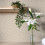 Fine Decor nu wallpaper POPLIN TAN peel & stick wallpaper 1