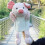 Cute animal hand puppet children interactive educational toy gloves 30cm 1