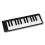 Nektar SE25 USB MIDI Keyboard Controller, Black, 25 Mini Keys 1