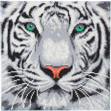 CRYSTAL ART - Timanttiväri - 30x30cm Lumihaalikko