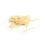 Graine Créative - Cerilla de 4 cm 2 200 piezas 1