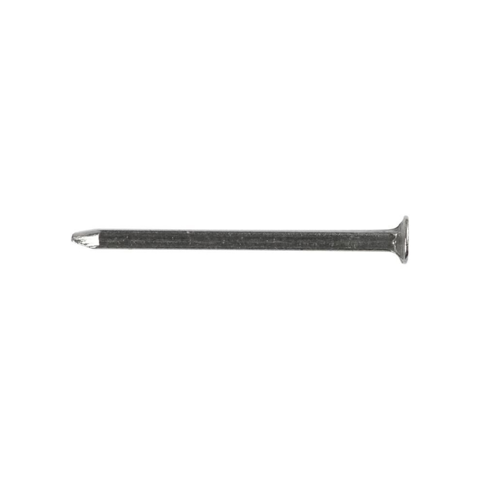 Nails - 20 Mm - Brilliant - Pack Of 100 - 2060 Pieces 5701291140004
