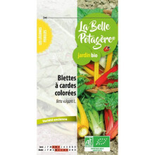Blettes a cardo multicoloridas 2 g