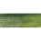 Derwent Blocos Derwent Inktense - Samambaia 1560 1