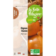 Cebola sturon 1 g