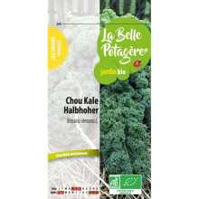 Couve kale Halboher 0,3 g