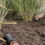 Gardena GARDENA Complete drip watering kit size S Micro-Drip – Watering line 100m max – Self-cleaning system - (13010-20) 4
