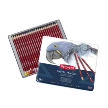 Lápis Pastéis - Derwent - Conjunto de 24 - Qualidade Profissional - Tons Suaves - Aquarelas