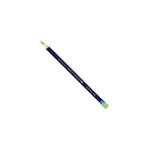 Pastello acquerellabile - DERWENT - INKTENSE - Verde Foresta - Punta fine - Adulti