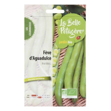 Sementes a semear - Fava Aguadulce - 50 g