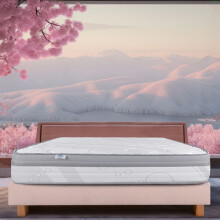 Materasso 180x200 cm, Prestigelux, 26 cm, schiuma a memoria di forma, rigido, indipendenza del letto, lato estate/inverno