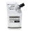 Vernis - Medium - Glänzend - Acrylfarbe - Sennelier - Abstrakt - 120ml 1