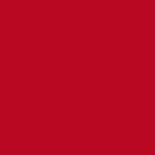 Acrylfarbe - Pébéo - Studio - Quinacridon-Scarlet - 100 ml - Satin - Mischtechnik 1