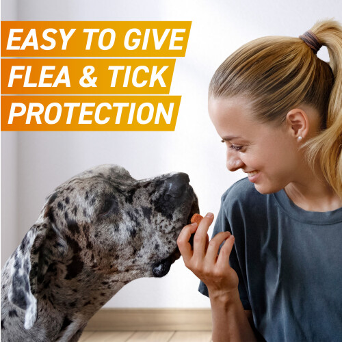 (Small Dog) FRONTPRO Chewable Flea & Tick Treatment for Dogs 2
