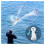 Hand Throw Net Bait Fishing Net Mesh Network Freshwater 2