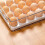 PARKFridge Eierdoos, Plastic Koelkast Eierdoos 24 Eiermand, Koelkast Eierdoos Met 2
