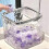 PARKLaundry Pods Container - Clear Storage Box suitable for Washing Capsules, Dryer Sheets Container Laundry 2