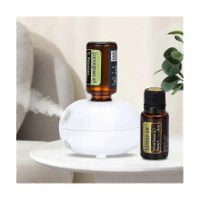 PARKMini Pure Oil Fragrance Diffuser Aromatherapy Machine Automatic Induction Portable Cute for Aroma Diffuser