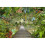 Photo Wall Mural Bridge 1