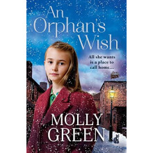 An Orphans Wish by Molly Green Paperback Book