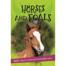 Its all about... Horses and Foals by Kingfisher Paperback Book