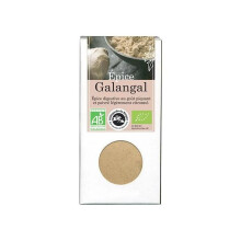 Epice Galangal (Ruoansulatusta) - Florisens