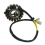 32101-45G00 Πηνίο στάτορα για LTR450 -R450 Quad Racer 3