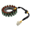 Generator Stator Coil for Motorcycle Part 2