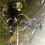 Outdoor Tree Climbing Tool Climbing Spikes for Tree Steel Climbing 4