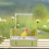 Parrot Shower Basin
Large Shower Basin 3