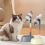Pet Height-adjustable Water Dispenser Dog Drinking 6