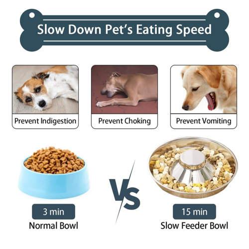 2 Pack Stainless Steel Puppy Bowls 1