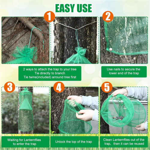 2 Pack Spotted Lanternfly Traps Lantern with Rope and Nails Set 2 2
