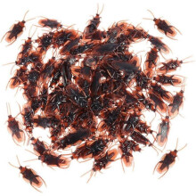 100pcs Prank Fake Roaches,novelty Plastic Cockroach,favorite Trick Joke Toys Look Real,scary Insects Realistic Plastic Bugs