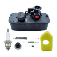 494406 Tank with carburetor 795477 Replaces 498809, 498809A, 498811, 494407, 494775, 497619, 699660, 794147, 794161, 795469