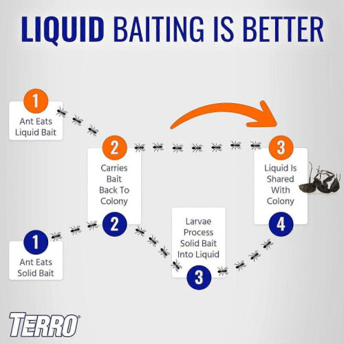(2boxes)Terro PreFilled Liquid Ant Killer II Baits, Pack of 6 Baits Each 1