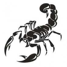 Scorpion Vinyl Decal Self-adhesive Auto Decoration Badge Hood Decal Black/Whitel