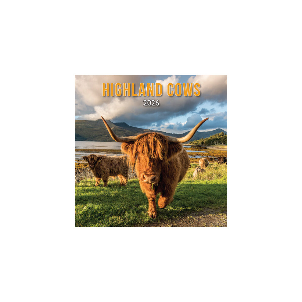 Scottish Calendar Highland Cow 2026