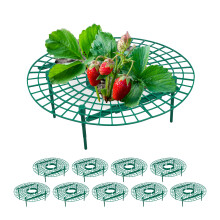 10 x Strawberry Gripper Rippers, Snail Protection Set of 10, Green Plastic Strawberry Grid for Rot and Mould Prevention