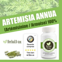 Complément Alimentaire Herbal D-tox Artémisinine ~ Armoise (Artemisia Annua L) 100% Pure, 100 gélules x 500 mg