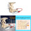 Teaching Wooden Science Hydraulic Lift Diy Kit With Physics Model For Learning 6