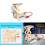 Teaching Wooden Science Hydraulic Lift Diy Kit With Physics Model For Learning 7