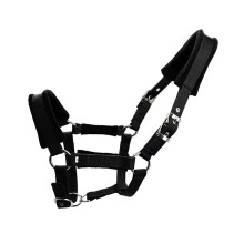 Thickened Jug Bridle Adjustable Lengths Horse Halter for Riding, Black, Size M, Durable Cheval Sports Accessory